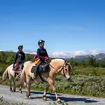 Hébergement de vacances Liaplassen Fjellhytte