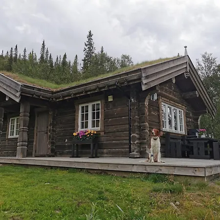 Liaplassen Fjellhytte Hébergement de vacances
