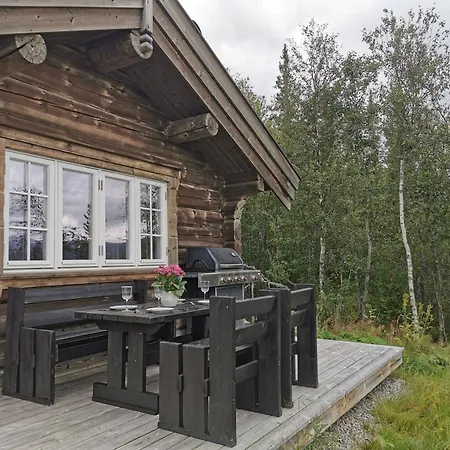 Hébergement de vacances Liaplassen Fjellhytte *