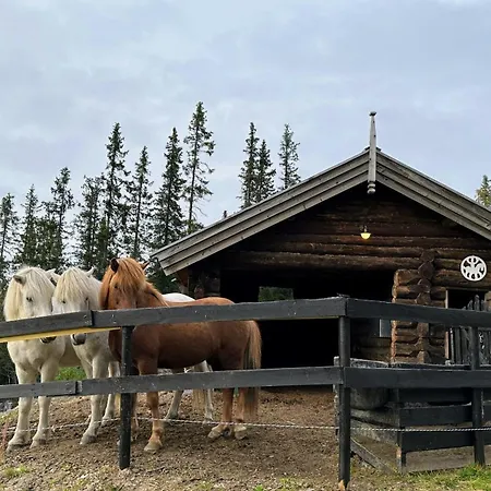 Liaplassen Fjellhytte Hébergement de vacances
