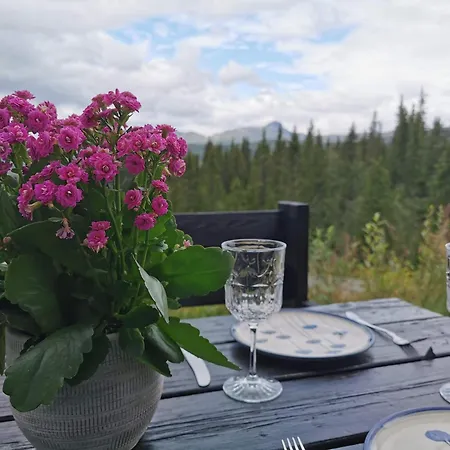 Hébergement de vacances Liaplassen Fjellhytte