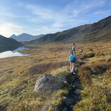 Liaplassen Fjellhytte Hébergement de vacances *