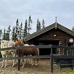 Liaplassen Fjellhytte Casa de Férias